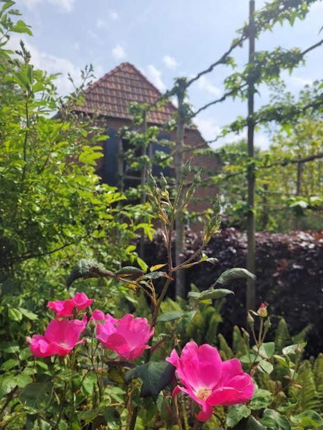 Studio Nok Bij Den Bosch Den Dungen Ngoại thất bức ảnh