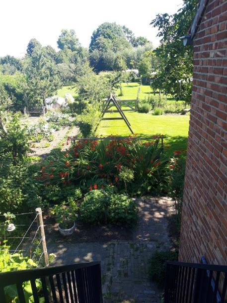 Studio Nok Bij Den Bosch Den Dungen Ngoại thất bức ảnh